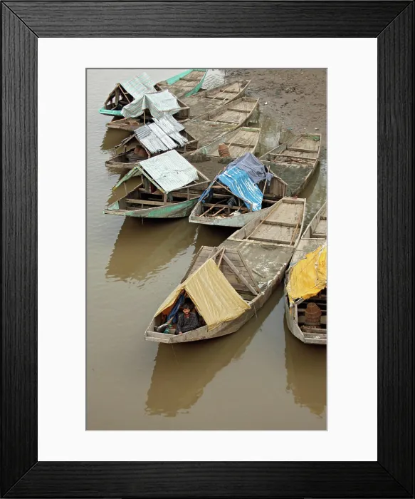 Framed Print : Sand excavating boats on the Jhelum river Sopore Baramulla District Jammu and Kashmir India NOMR Copyright Framed Print : Sand excavating boats on the Jhelum river Sopore Baramulla District Jammu and Kashmir India NOMR Copyright