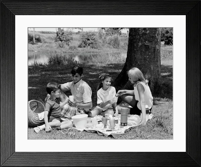 Framed Print : Family with two children having picnic in park