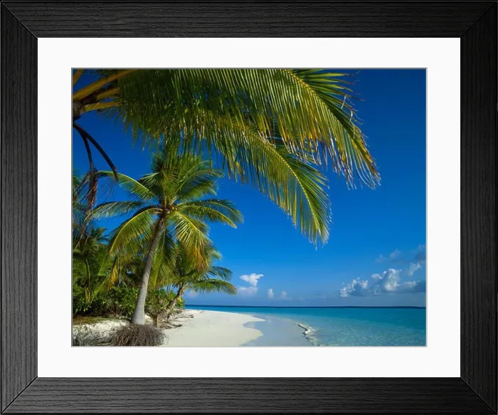 Framed Print : Tropical Island Beach Scene on Ari Atoll, Maldive Islands, Indian Ocean