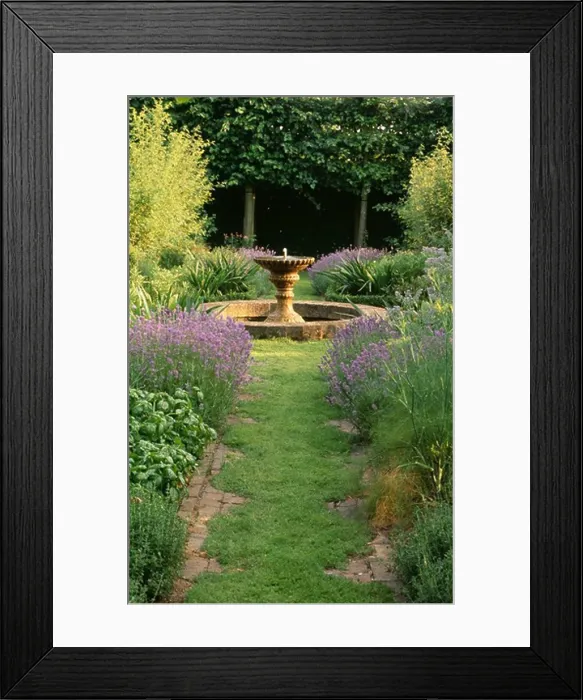 Framed Print : Grass path leading through scented herbs to circular pond in country garden Framed Print : Grass path leading through scented herbs to circular pond in country garden