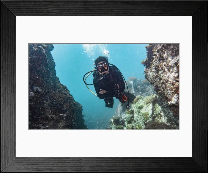 Framed Print : diver exploring the tropical waters around Koh Tao in Thailand Framed Print : diver exploring the tropical waters around Koh Tao in Thailand