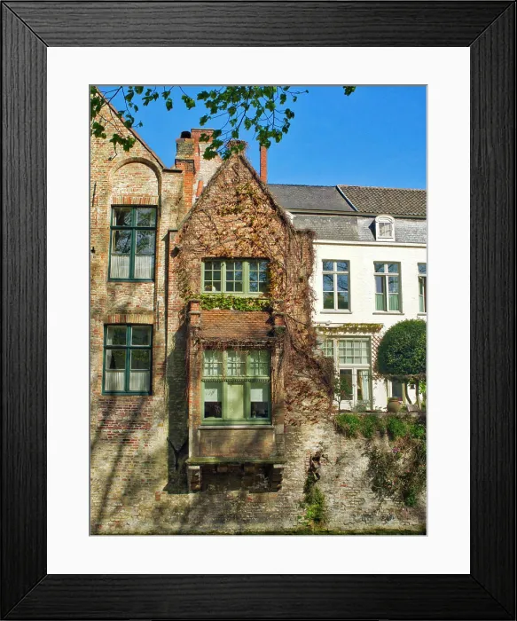 Framed Print : Belgium, Brugge. Windows covered in vine along the canal. A dog can be seen in the window Framed Print : Belgium, Brugge. Windows covered in vine along the canal. A dog can be seen in the window