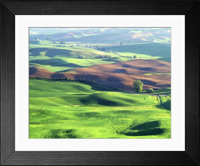 Framed Print : USA, Washington, Whitman County, Steptoe Butte State Park, Palouse, Wheat Fields Framed Print : USA, Washington, Whitman County, Steptoe Butte State Park, Palouse, Wheat Fields