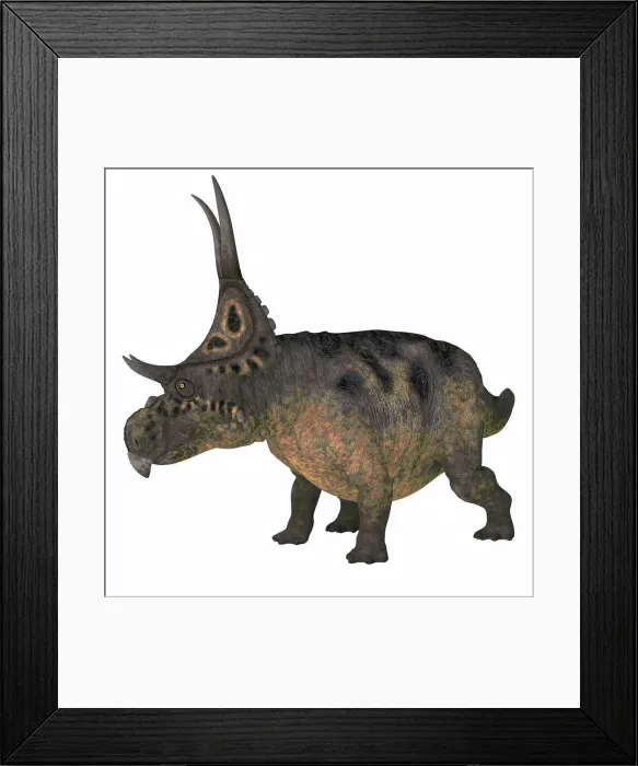 Framed Print : A horned Diabloceratops dinosaur, side view on white background Framed Print : A horned Diabloceratops dinosaur, side view on white background