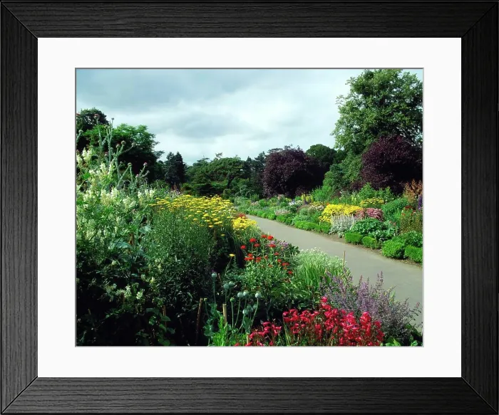 Framed Print : Double Herbaceous Borders, National Botanic Gardens, Dublin, Ireland Framed Print : Double Herbaceous Borders, National Botanic Gardens, Dublin, Ireland