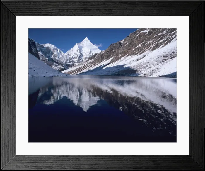 Framed Print : Mount Jichu Drake reflected in Sophu lake, Jigme Dorji National Park, Bhutan Framed Print : Mount Jichu Drake reflected in Sophu lake, Jigme Dorji National Park, Bhutan