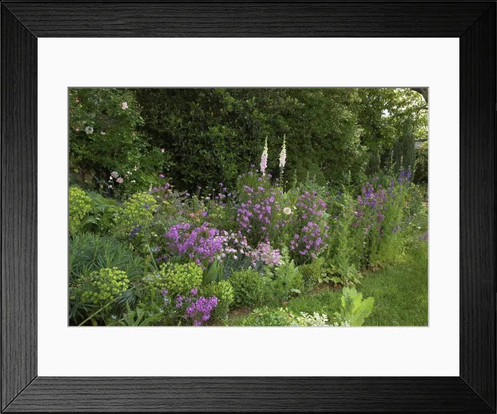 Framed Print : Massif blue and white in June France Framed Print : Massif blue and white in June France