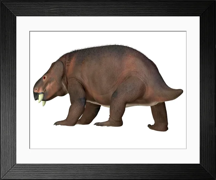 Framed Print : Placerias dinosaur Framed Print : Placerias dinosaur