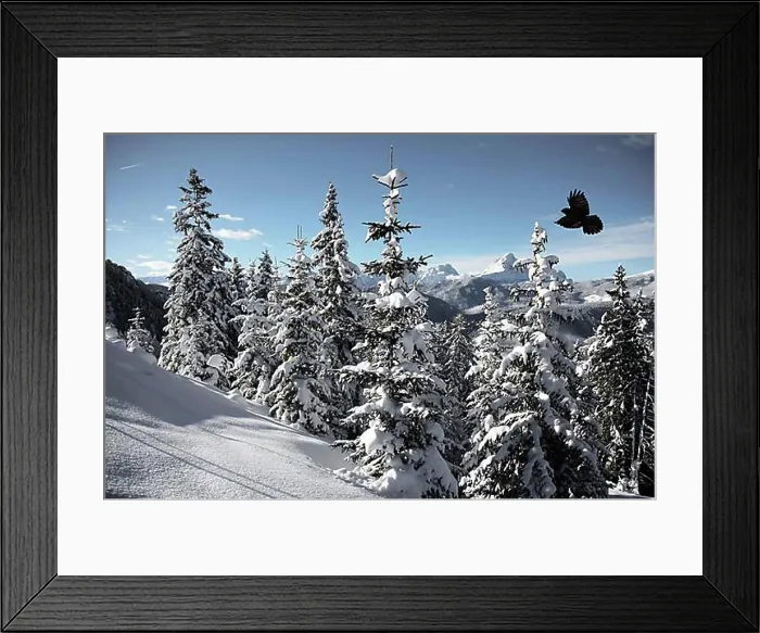 Framed Print : Winter Framed Print : Winter