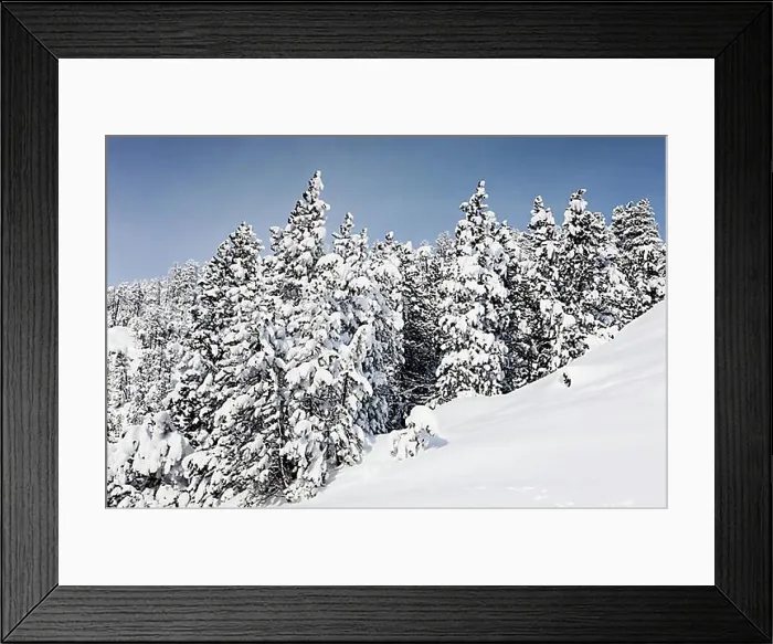 Framed Print : Winter landscape, Ofen Pass, Swiss National Park, Grisons, Switzerland, Europe Framed Print : Winter landscape, Ofen Pass, Swiss National Park, Grisons, Switzerland, Europe