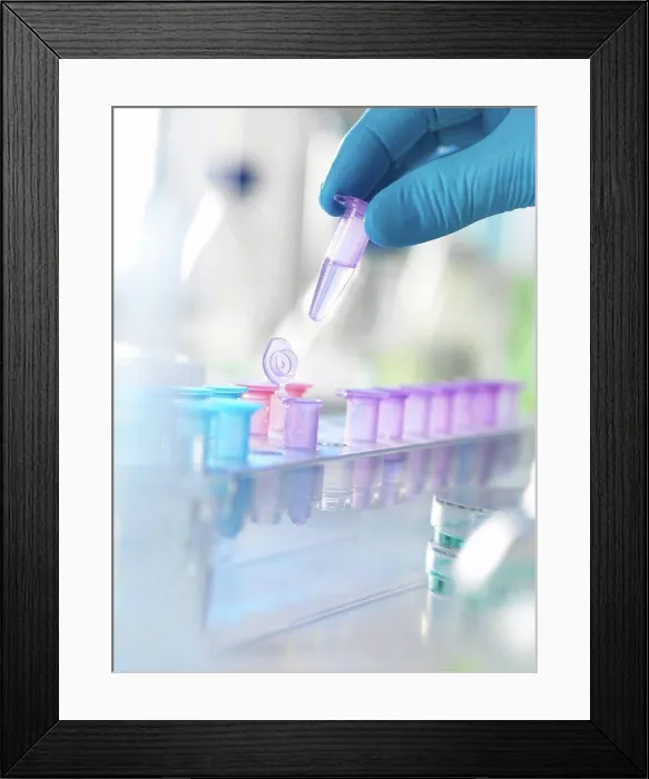 Framed Print : MODEL RELEASED. Scientist holding a vial containing a specimen ready for analysis in a laboratory Framed Print : MODEL RELEASED. Scientist holding a vial containing a specimen ready for analysis in a laboratory