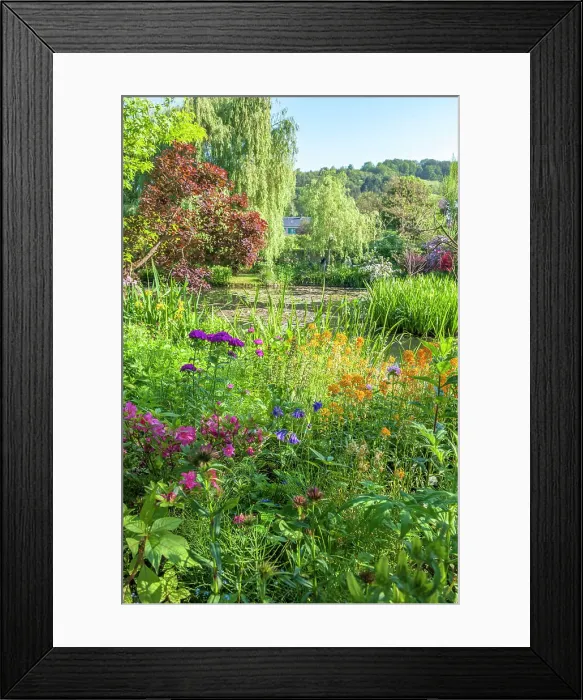 Framed Print : Monet's garden, Giverny, Normandy, France Framed Print : Monet's garden, Giverny, Normandy, France