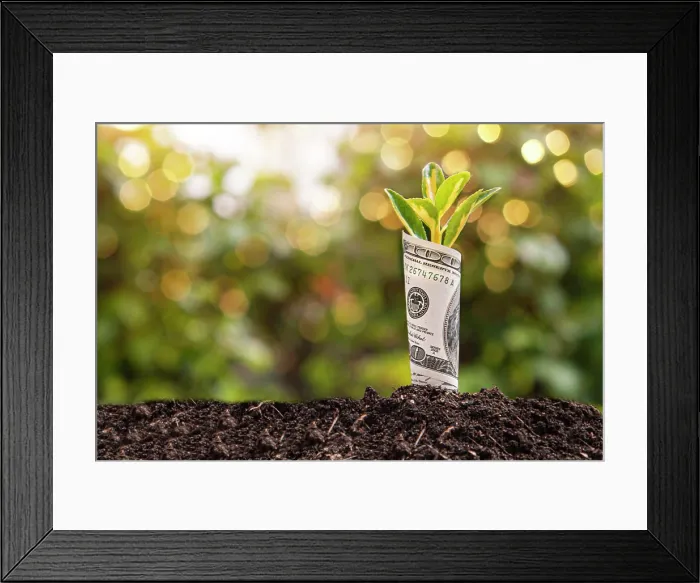 Framed Print : Economic Growth symbol one hundred dollar bill with a plant or leaf growing out of the earth with blurred green