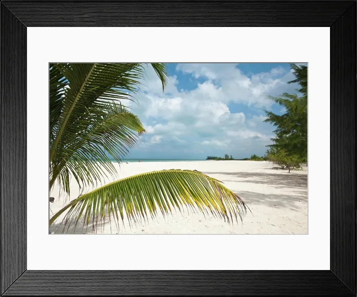 Framed Print : Mexico, Cozumel. Isla Pasion ( Passion Island) off Isla de Cozumel (Cozumel Island) Framed Print : Mexico, Cozumel. Isla Pasion ( Passion Island) off Isla de Cozumel (Cozumel Island)