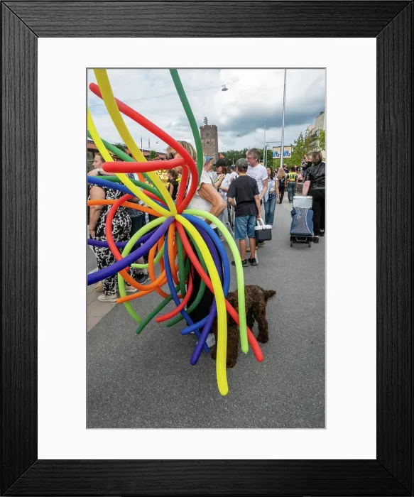 Framed Print : Stockholm, Sweden Participants and onlooker pedestrians at the Stockholm Pride march 2024