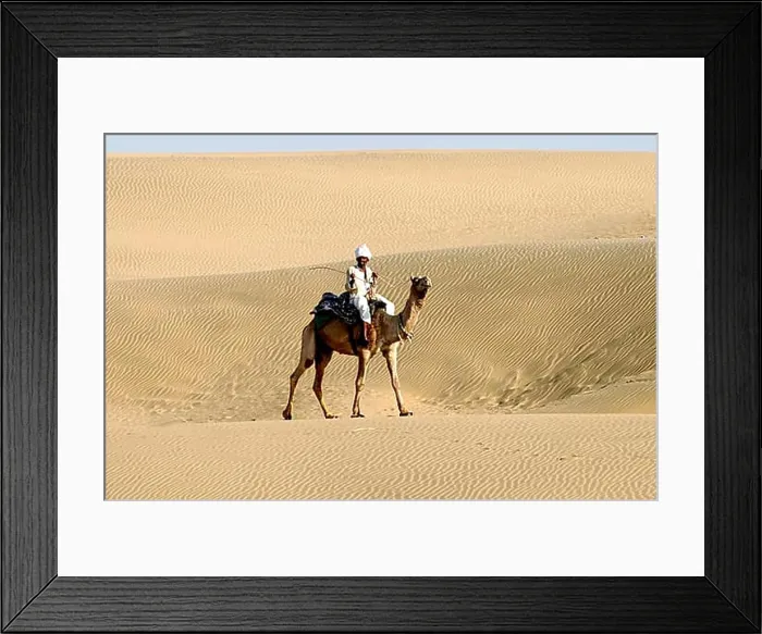 Framed Print : Camel rider travelling in the Thar desert Framed Print : Camel rider travelling in the Thar desert