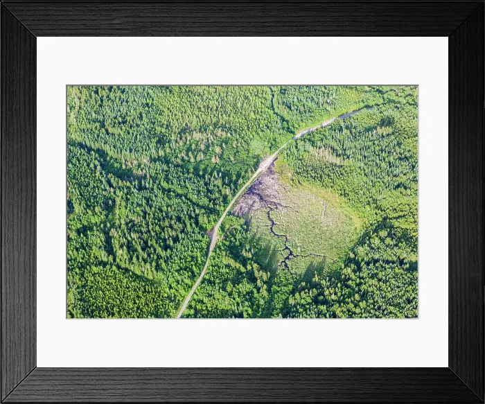Framed Print : Logging roads and wetlands in the Cold Stream watershed in industrial timberland in Maine's Northern Forest Framed Print : Logging roads and wetlands in the Cold Stream watershed in industrial timberland in Maine's Northern Forest