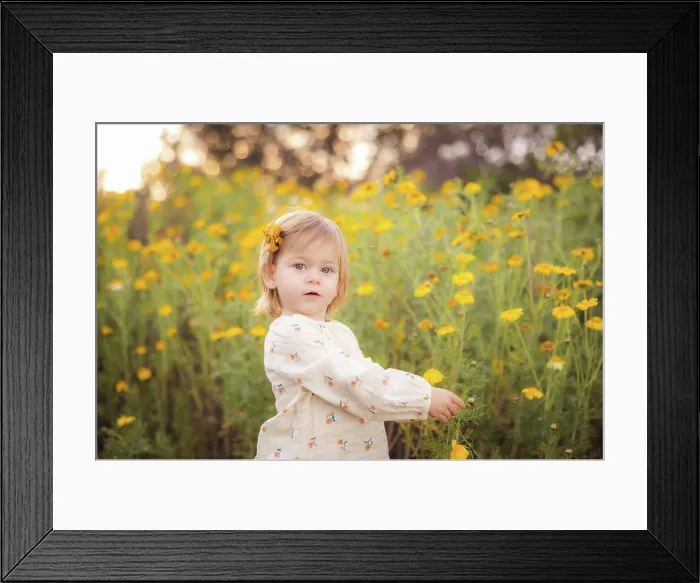 Framed Print : Little girl picking a yellow flower Framed Print : Little girl picking a yellow flower