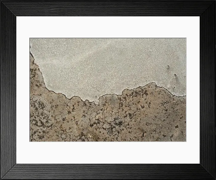 Framed Print : Lichen covering a granitic stone Framed Print : Lichen covering a granitic stone