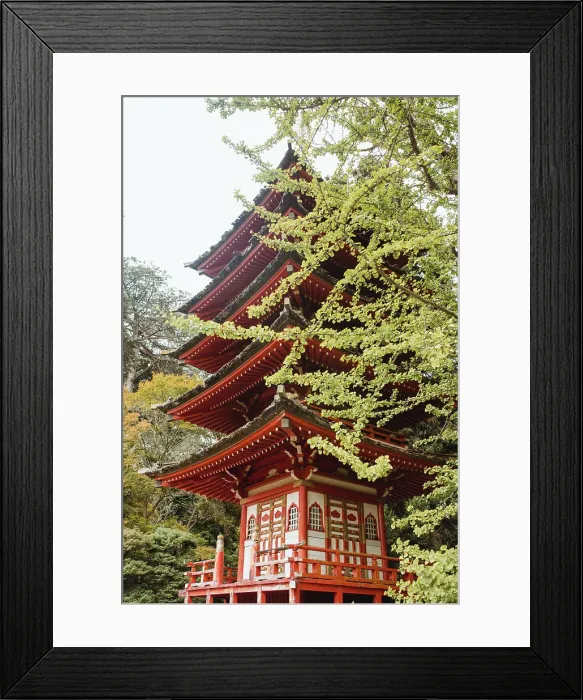 Framed Print : Red ornamental Japanese pagoda surrounded by green trees in park in San Francisco Framed Print : Red ornamental Japanese pagoda surrounded by green trees in park in San Francisco