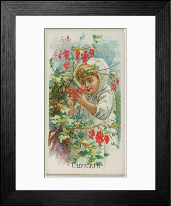 Framed Print : Currants, from the Fruits series (N12)