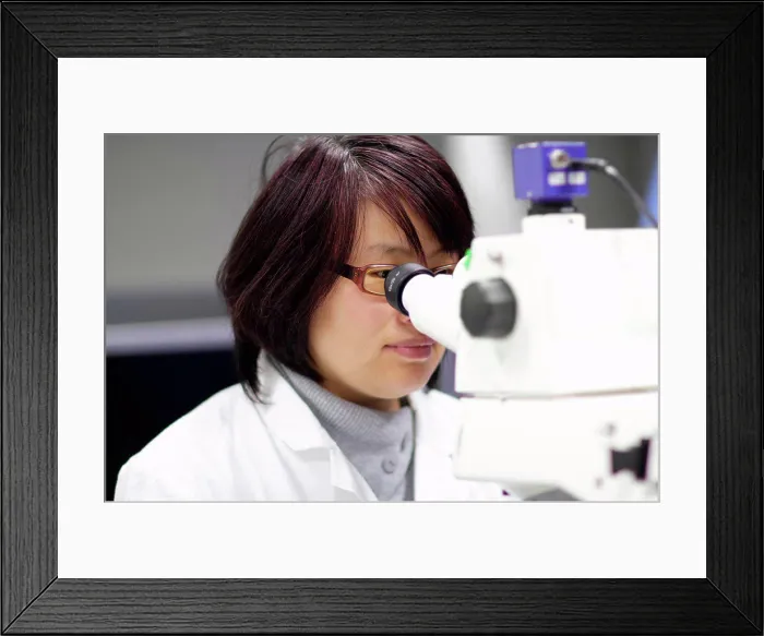 Framed Print : Scientist using microscope in lab