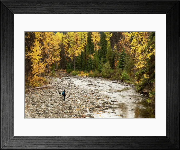 Framed Print : A hiker walks towards a creek in E.C. Manning Provincial Park