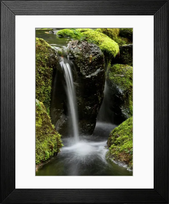 Framed Print : Strolling Garden, Portland Japanese Garden, Portland, Oregon, USA Framed Print : Strolling Garden, Portland Japanese Garden, Portland, Oregon, USA