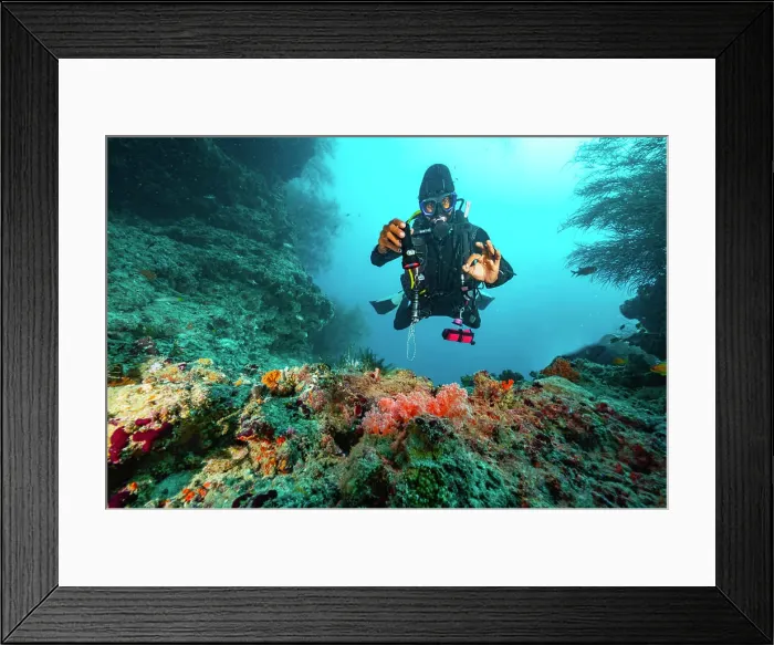 Framed Print : local dive master exploring reef in the Maldives Framed Print : local dive master exploring reef in the Maldives