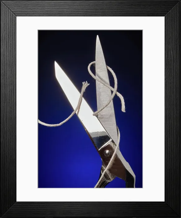 Framed Print : Scissors cutting twine into pieces