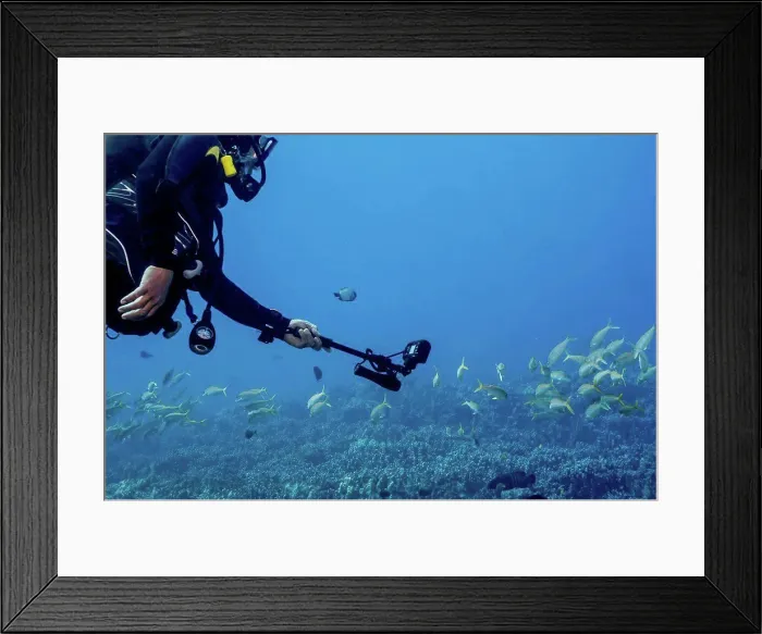 Framed Print : A male scuba diver wearing a wetsuit from Big island Divers is using a selfie stick with his underwater camera to get Framed Print : A male scuba diver wearing a wetsuit from Big island Divers is using a selfie stick with his underwater camera to get