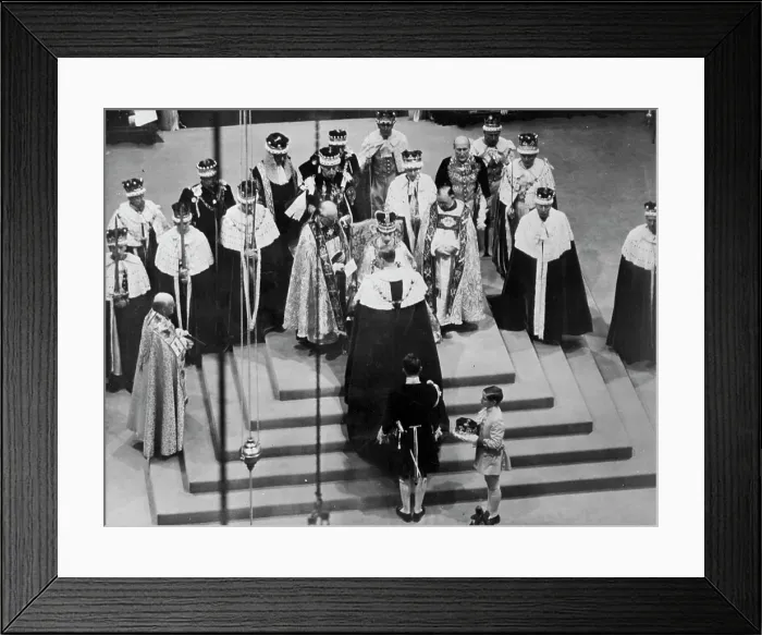 Framed Print : The Homage Ceremony -- The Homage Ceremony Framed Print : The Homage Ceremony -- The Homage Ceremony