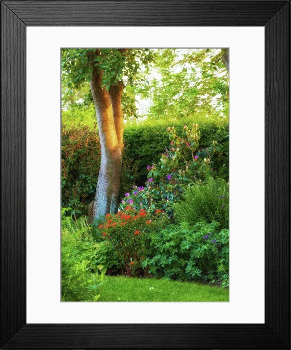 Framed Print : Beautiful green garden with flowers Framed Print : Beautiful green garden with flowers