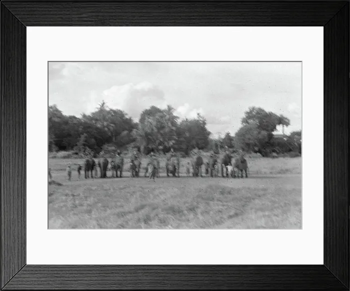 Framed Print : Detachment 101, an enigmatic Allied intelligence and special operations unit during World War II Framed Print : Detachment 101, an enigmatic Allied intelligence and special operations unit during World War II
