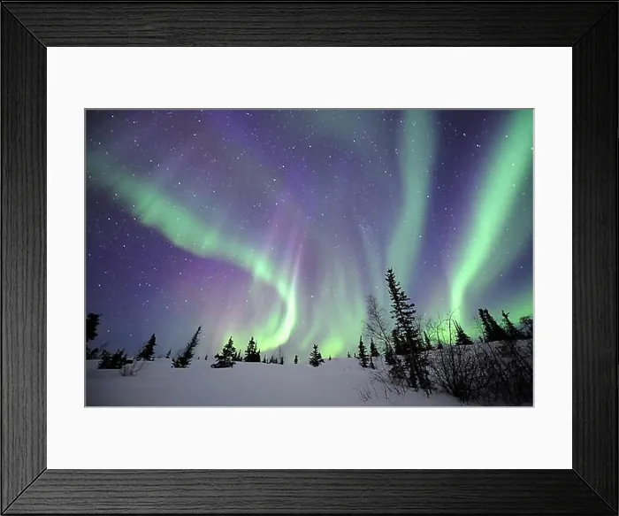 Framed Print : Northern Lights, Northwest Territories (Aurora borealis), Canada, North America Framed Print : Northern Lights, Northwest Territories (Aurora borealis), Canada, North America