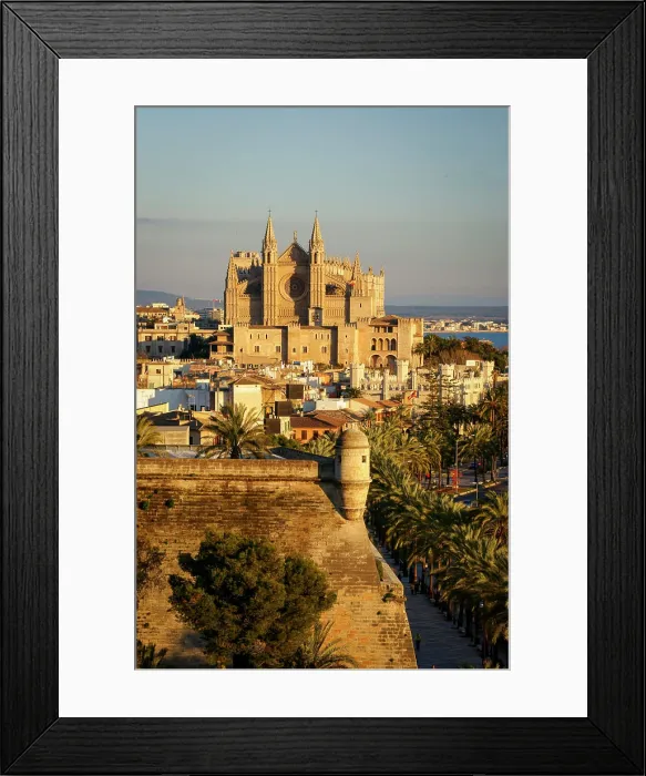 Framed Print : 971M10 210-91.jpg 971M10 210-91.jpg LicenseRF Copyright: xZoonar.com / BartomeuxBalaguerxRotgerx 23313155