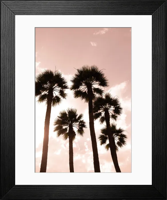 Framed Print : Palm trees. Luxor, Egypt Framed Print : Palm trees. Luxor, Egypt