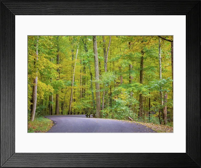 Framed Print : Curvy Road in Clifty Creek Park, Southern Indiana Framed Print : Curvy Road in Clifty Creek Park, Southern Indiana