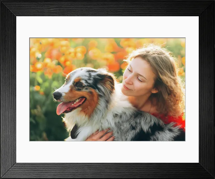 Framed Print : young woman and her australian shepherd dog Framed Print : young woman and her australian shepherd dog