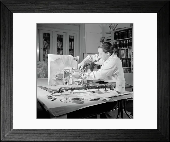 Framed Print : Poll photo collection. Reporting EPPO Doeve Framed Print : Poll photo collection. Reporting EPPO Doeve
