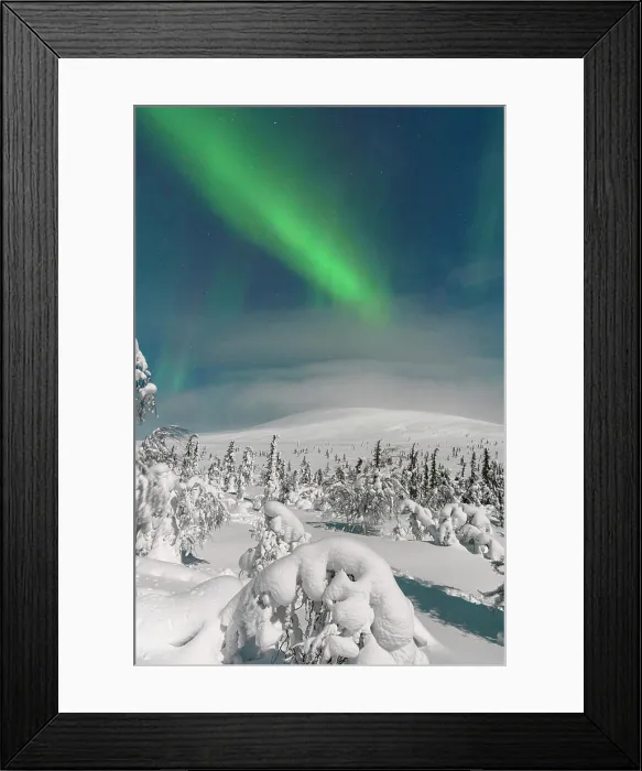 Framed Print : Frozen snowy forest under the Northern Lights Framed Print : Frozen snowy forest under the Northern Lights