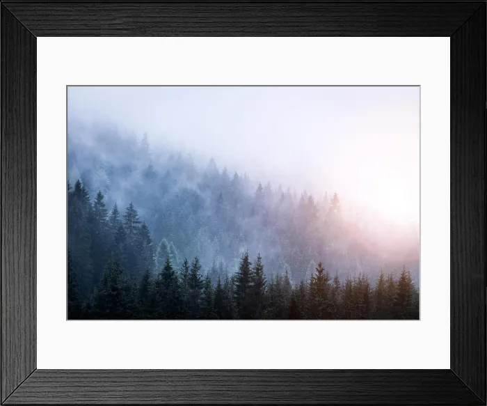 Framed Print : Magical atmosphere in the foggy forest, Morning, Austria Framed Print : Magical atmosphere in the foggy forest, Morning, Austria