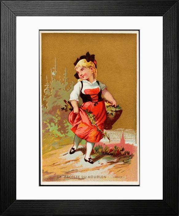 Framed Print : La recoite du houblon (Alsace). La recoite du houblon (Alsace) Framed Print : La recoite du houblon (Alsace). La recoite du houblon (Alsace)