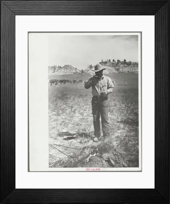 Framed Print : Cowboy eating 'Rocky Mountain oysters Framed Print : Cowboy eating 'Rocky Mountain oysters