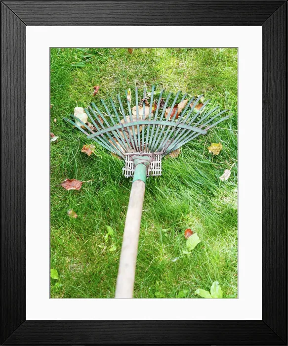 Framed Print : lawn care with rake lawn care with the help of rake Copyright: xZoonar.com / ValeryxVoennyyx 7496182 Framed Print : lawn care with rake lawn care with the help of rake Copyright: xZoonar.com / ValeryxVoennyyx 7496182