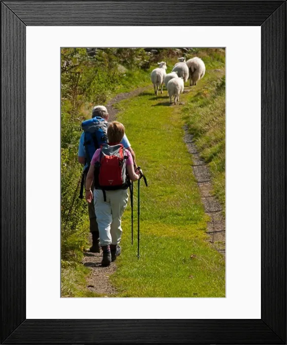 Framed Print : Hikers above Rowen, Snowdonia National Park, Wales, UK