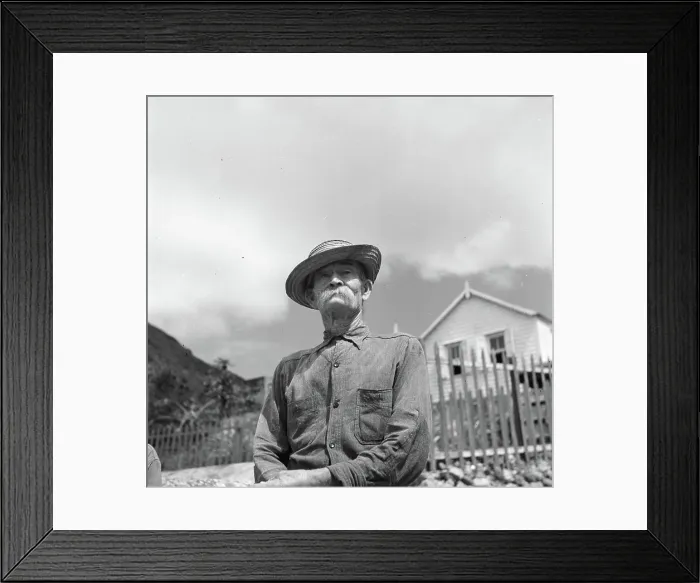 Framed Print : Poll photo collection. Travel to Suriname and the Netherlands Antilles Framed Print : Poll photo collection. Travel to Suriname and the Netherlands Antilles
