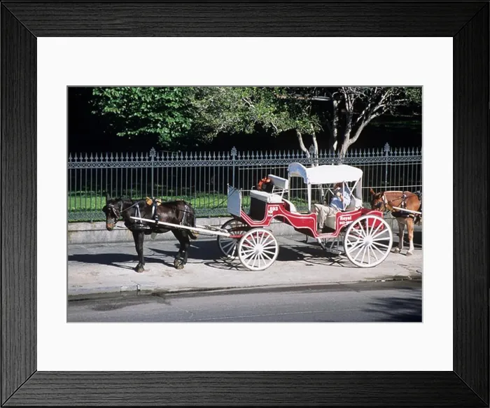 Framed Print : Horse and carriage outside Jackson Square, Decatur Street, French Quarter, New Orleans, Louisiana, USA Framed Print : Horse and carriage outside Jackson Square, Decatur Street, French Quarter, New Orleans, Louisiana, USA