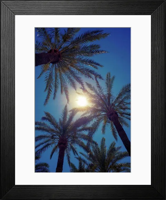 Framed Print : The tops of palm trees and bright sun in Palm Springs, California. (Photo by: Edwin Remsburg / VW Pics) Framed Print : The tops of palm trees and bright sun in Palm Springs, California. (Photo by: Edwin Remsburg / VW Pics)