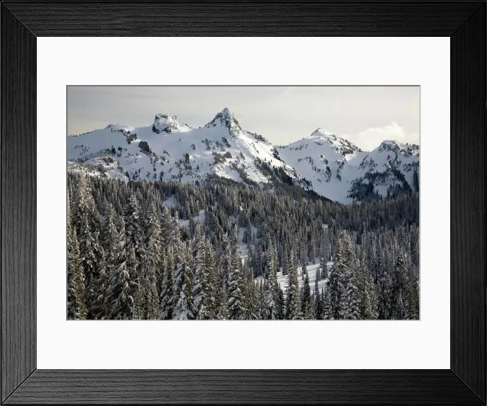 Framed Print : WA, Mt. Rainier NP, Snow covered trees with Tatoosh Range and Pinnacle Peak Framed Print : WA, Mt. Rainier NP, Snow covered trees with Tatoosh Range and Pinnacle Peak